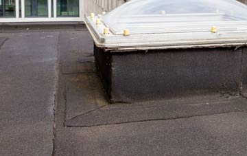 disadvantages of Port Logan flat roofs