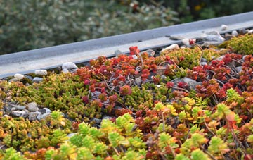 the cost of Port Logan green roof installation