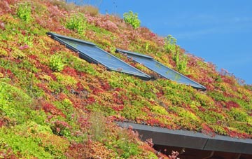 Port Logan living roof systems