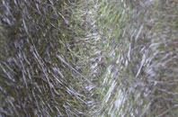 Port Logan fibreglass roof work